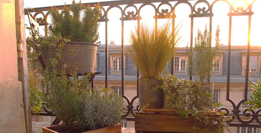 Mon balcon parisien Décor Balcon Parisien