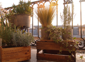 Mon Balcon Parisien - Mise En Situation