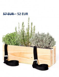 soldes plantes