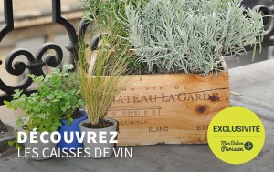 caisses plantes