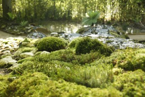 PHOTO: ERIC SANDER POUR LE DOMAINE DE CHAUMONT-SUR-LOIRE. 2015- FESTIVAL DES JARDINS.