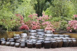 PHOTO: ERIC SANDER POUR LE DOMAINE DE CHAUMONT-SUR-LOIRE. 2015- FESTIVAL DES JARDINS.