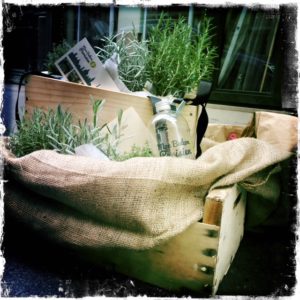PLANTES PERSISTANTES
