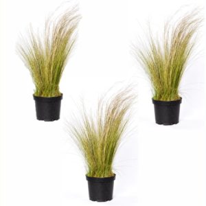 balconnière stipa