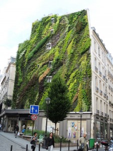 végétalisation urbaine
