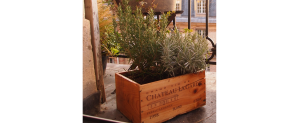 caisses plantes