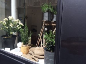 boutique de plantes à paris