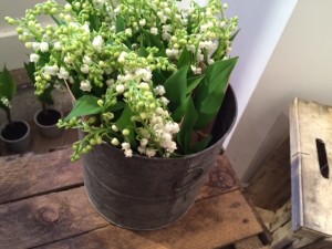 boutique de plantes à paris