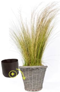 stipa osier smartpot