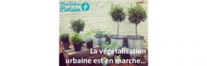 végétalisation urbaine