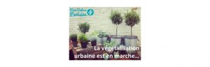 végétalisation urbaine