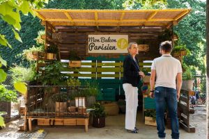 jardinerie en ligne