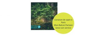 livraison de sapin à paris