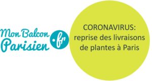 coronavirus livraison plante