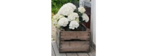 hortensia balcon paris