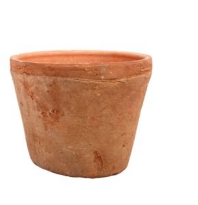 Terracotta Coriace