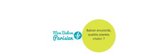 balcon au soleil quelle plante choisir