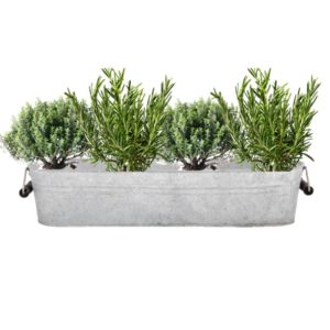 Jardinière zinc méditerranéenne