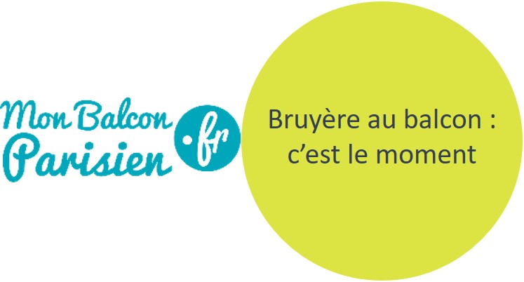 Bruyère au balcon