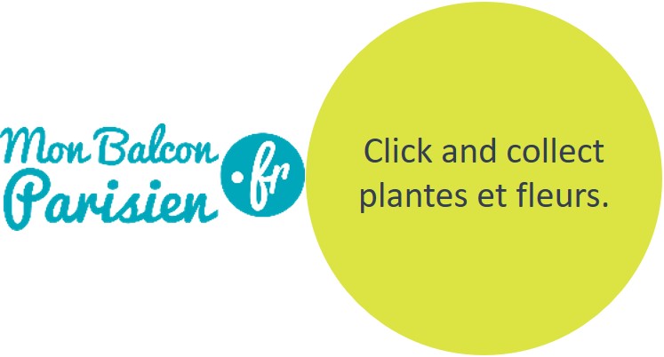 Click and collect plantes et fleurs