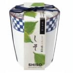 HERBES JAPONAIS...