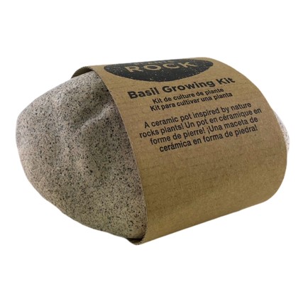 PLANT ROCK GRIS - BASILIC