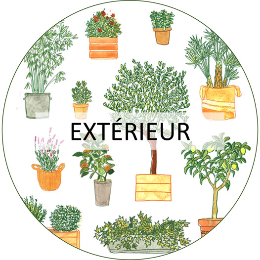 Accessoires pour plantes acheter en ligne