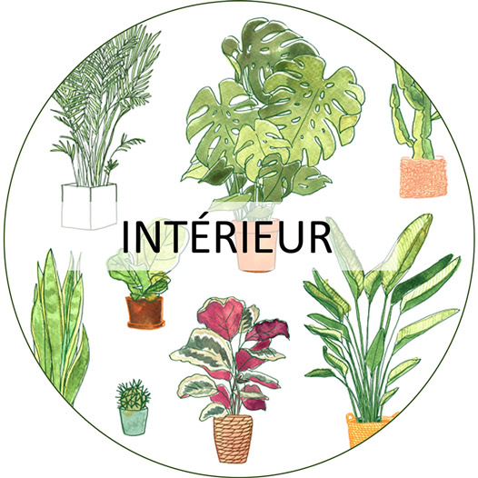 jardinerie urbaine