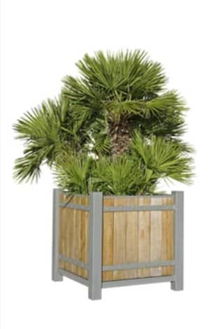 Mon Balcon Parisien - Plantes d'extérieur : notre top 10
