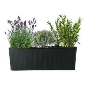 Balconic méditérranée