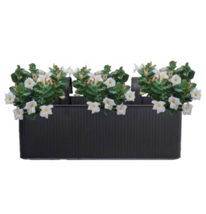 Triple dipladénia en...