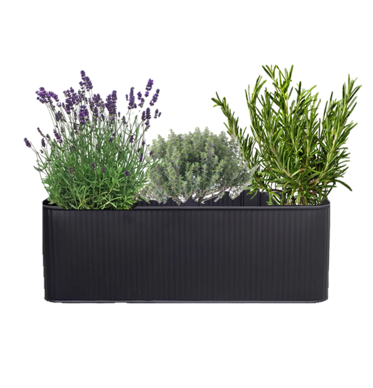 Balconic méditérranée