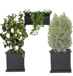 Balcon mi-ombre 2m² aménagé avec camélia, pittosporum et balconnière avec lierre et fusain